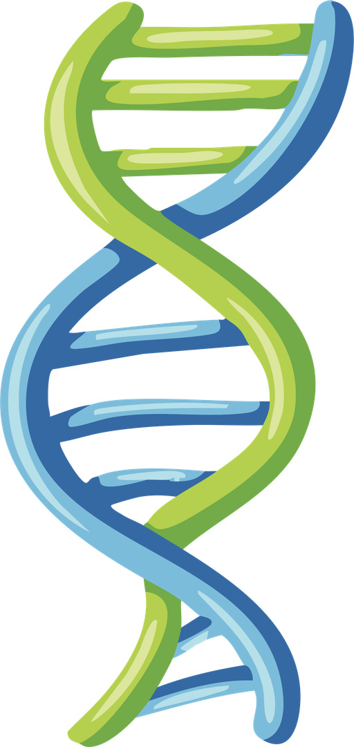 Mô hình DNA